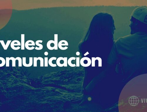 Niveles de comunicación